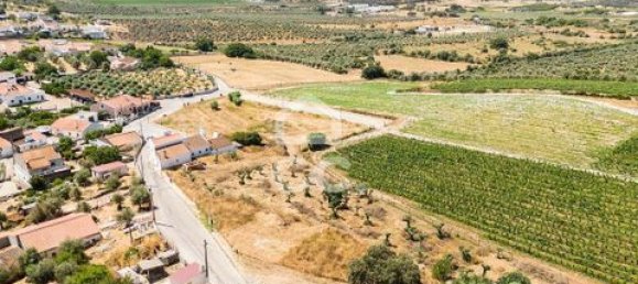 قطعة أرض في Borba, Portugal رقم 229752 3