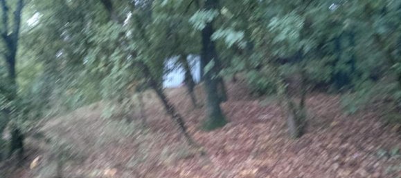 8غرفة فيلا في Arezzo, Italy رقم 236493 20