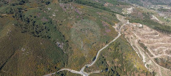 قطعة أرض في Celorico de Basto, Portugal 7460متر مربع رقم 59319 11