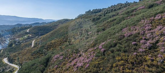 قطعة أرض في Celorico de Basto, Portugal 7460متر مربع رقم 59319 8