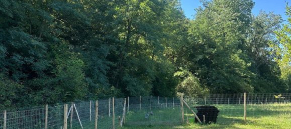 5-Zimmer Haus in Mogersdorf, Austria, Nr. 256019 26