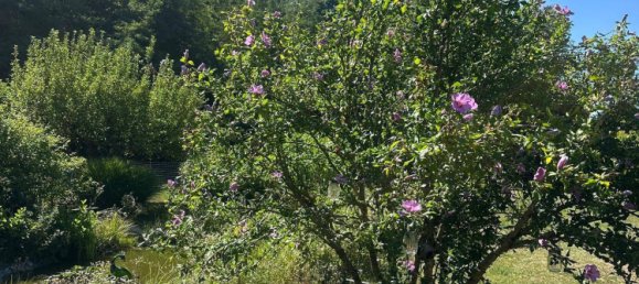 5-Zimmer Haus in Mogersdorf, Austria, Nr. 256019 22