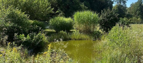 5-Zimmer Haus in Mogersdorf, Austria, Nr. 256019 21