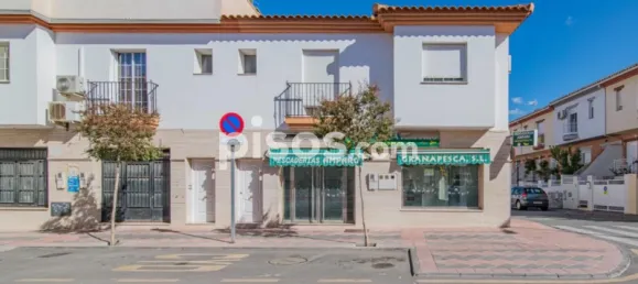 82m² Commercial property in Armilla, Spain No. 97871 19