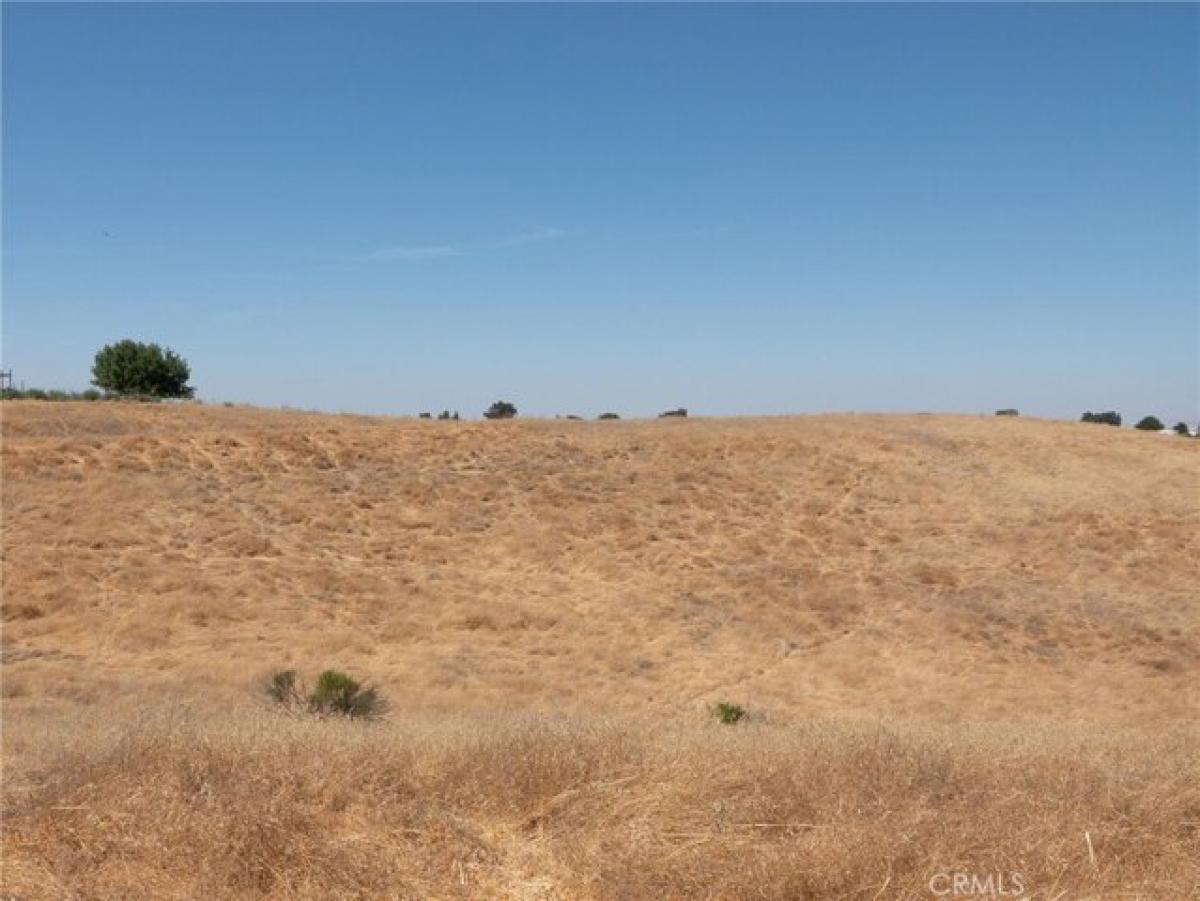 Terreno en Paso Robles, USA No. 474065