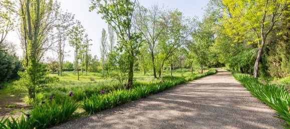 10 bedrooms House in Alcala de Henares, Spain No. 118264 10