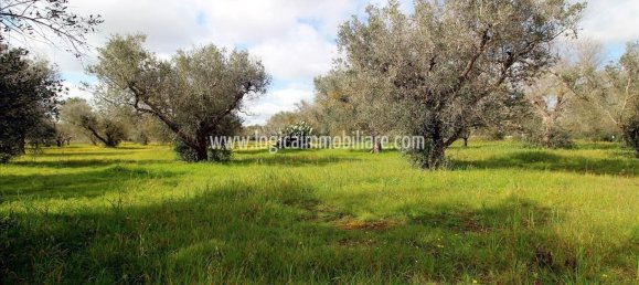 Вилла с 8 комнатами в Corigliano d'Otranto, Италия № 173860 16