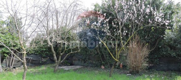 3 Schlafzimmer Villa in Villar Dora, Italy, Nr. 7900 11