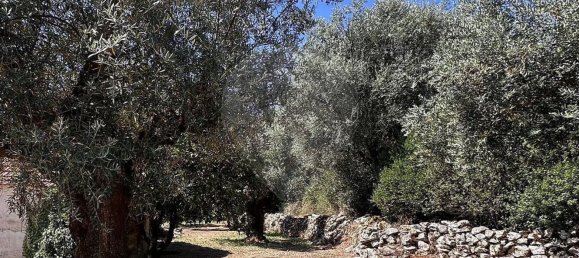 Casa de 2 dormitorios en Ansiao, Portugal No. 36535 3