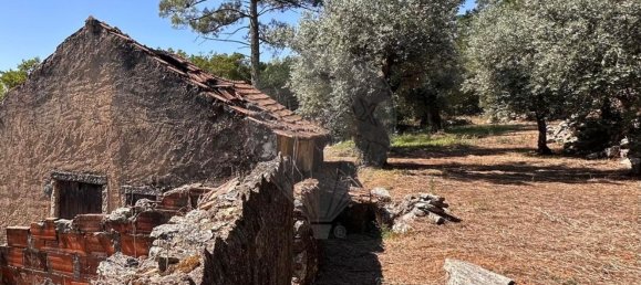 Casa de 2 dormitorios en Ansiao, Portugal No. 36535 2