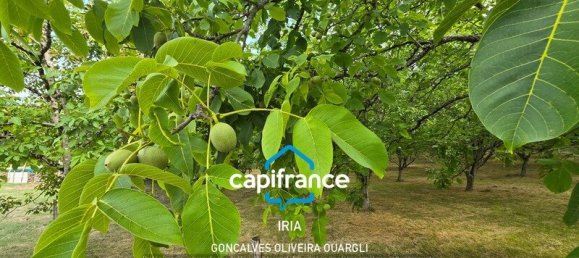 4 غرف نوم منزل في Pujols, France رقم 278744 18