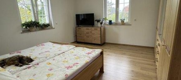 Дом с 4 комнатами в Дойч-Ваграм, Австрия № 138488 22