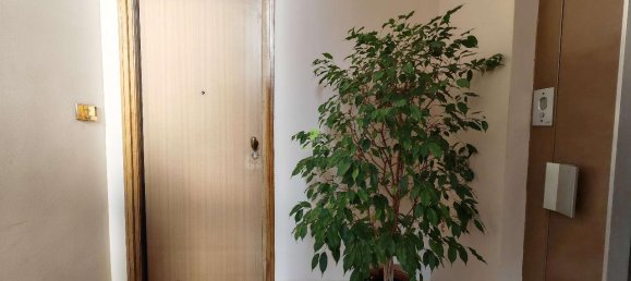 5 rooms Apartment in Moncalieri, Italy No. 75355 25