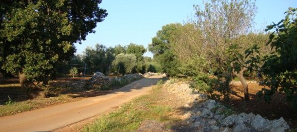 استوديو في San Vito dei Normanni, Italy رقم 75692 12