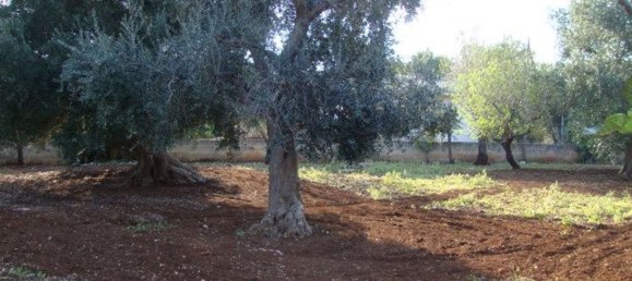 استوديو في San Vito dei Normanni, Italy رقم 75692 7