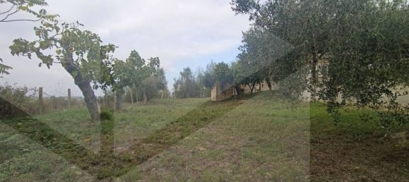 Дом с 5 комнатами в Спольторе, Италия № 20222 18