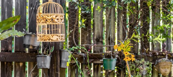 4 chambres Maison à Murwillumbah, Australia No. 138 25