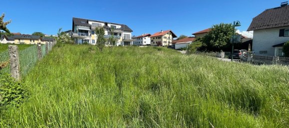 838m² Land in Anthering, Austria No. 111740 6