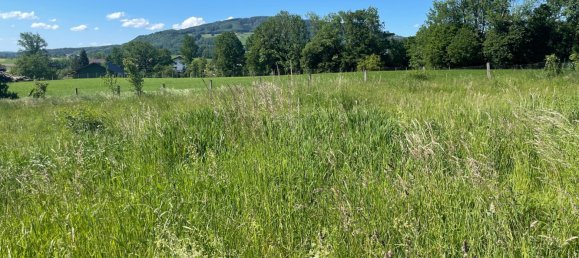 838m² Land in Anthering, Austria No. 111740 3