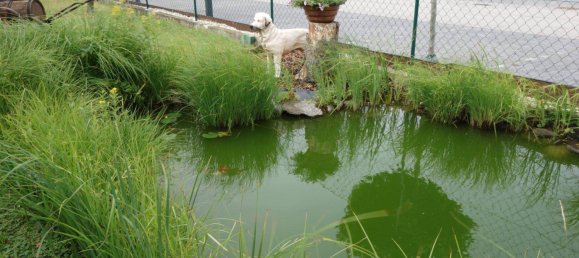 Grundstück in Achau, Austria, Nr. 205492 4