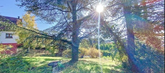 4 غرف نوم منزل في Mutzig, France رقم 80448 11