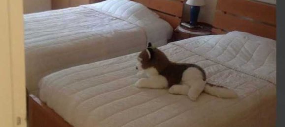 5 bedrooms House in Protaras, Cyprus No. 7453 8