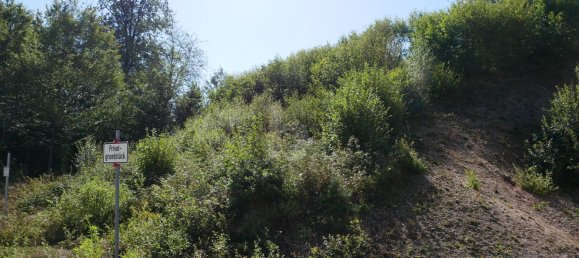  قطعة أرض في Regensburg, Germany رقم 200398 3