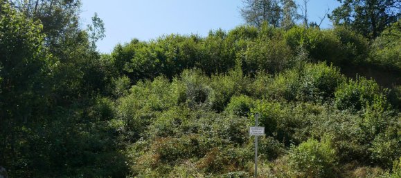  قطعة أرض في Regensburg, Germany رقم 200398 2