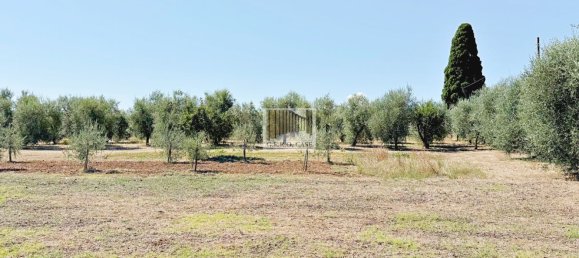 4 rooms House in Castiglione in Teverina, Italy No. 280068 11