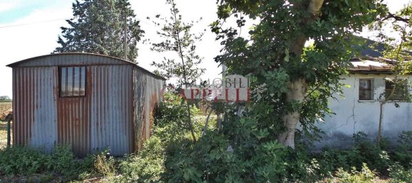 4-salle Maison à Forlì, Italy No. 83102 7