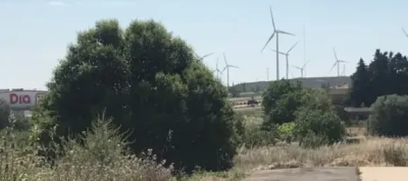  قطعة أرض في Mallen, Spain 2573متر مربع رقم 145675 4