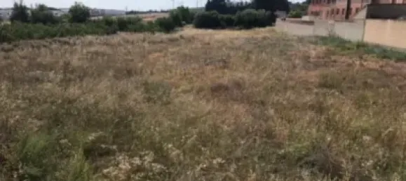  قطعة أرض في Mallen, Spain 2573متر مربع رقم 145675 17