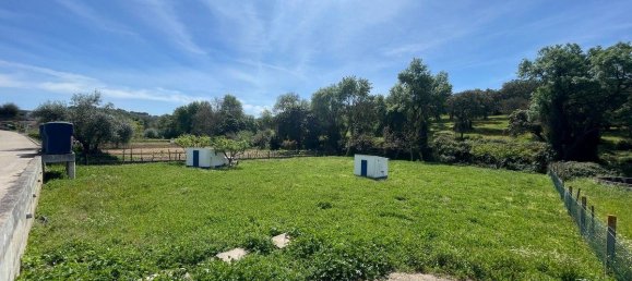 3 bedrooms Villa in Montemor o Novo, Portugal No. 107768 12