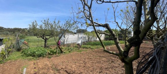 3 bedrooms Villa in Montemor o Novo, Portugal No. 107768 11