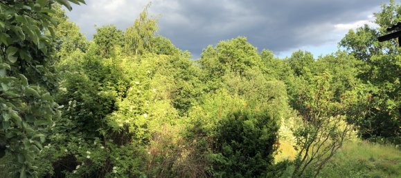 4 bedrooms House in Sankt Wendel, Germany No. 51754 8