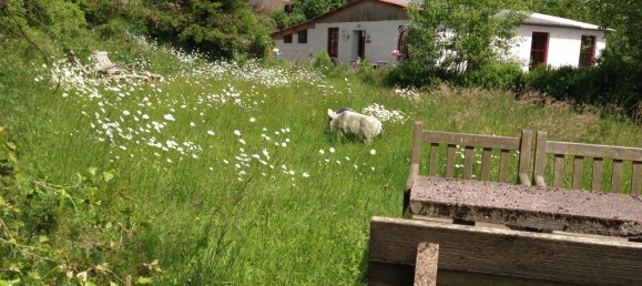 4 bedrooms House in Sankt Wendel, Germany No. 51754 7