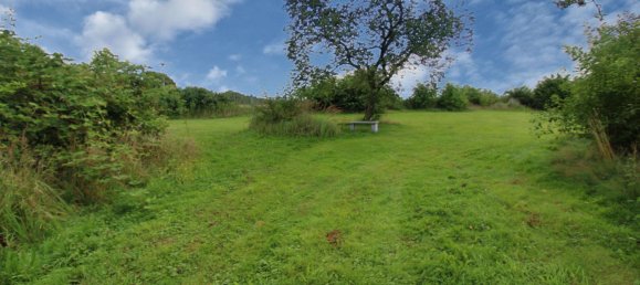 13 rooms Townhouse in Vorpommern-Rugen, Germany No. 269935 5