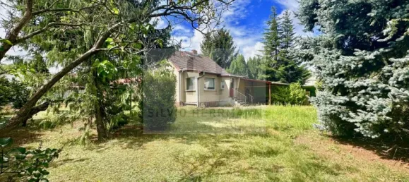 4 غرف نوم قطعة أرض في Dahme-Spreewald, Germany رقم 345068 3