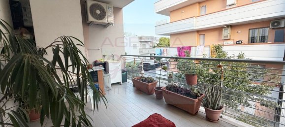 2-Zimmer Wohnung in Alba Adriatica, Italy, Nr. 300737 3