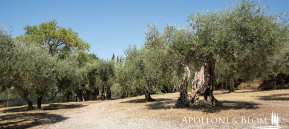 Villa de 4 dormitorios en Passignano sul Trasimeno, Italy No. 53491 15