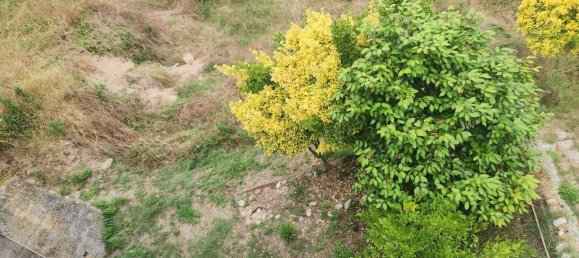 4 bedrooms House in Carasco, Italy No. 335709 27