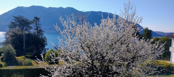 3 bedrooms Apartment in Ghiffa, Italy No. 232242 25