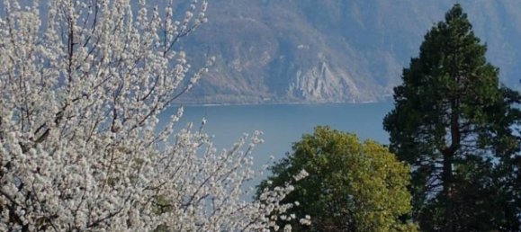 3 bedrooms Apartment in Ghiffa, Italy No. 232242 26