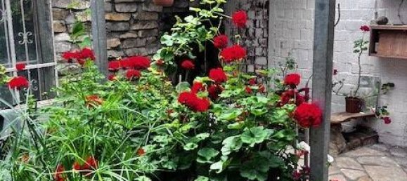 Terreno em Lichterfelde, Germany N.º 364187 7