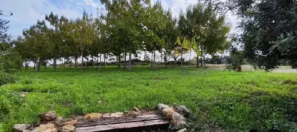 Casa T4 em Castellon, Spain N.º 136051 31