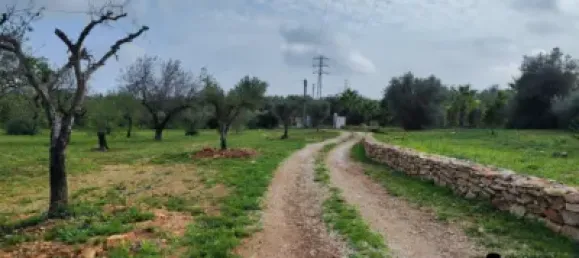 Casa T4 em Castellon, Spain N.º 136051 33