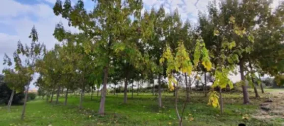 Casa T4 em Castellon, Spain N.º 136051 35