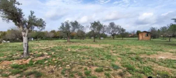 Casa T4 em Castellon, Spain N.º 136051 39