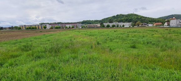 Terreno en Strassgang, Austria No. 16622 5