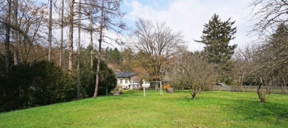 Terrain à Purkersdorf, Austria No. 166901 7